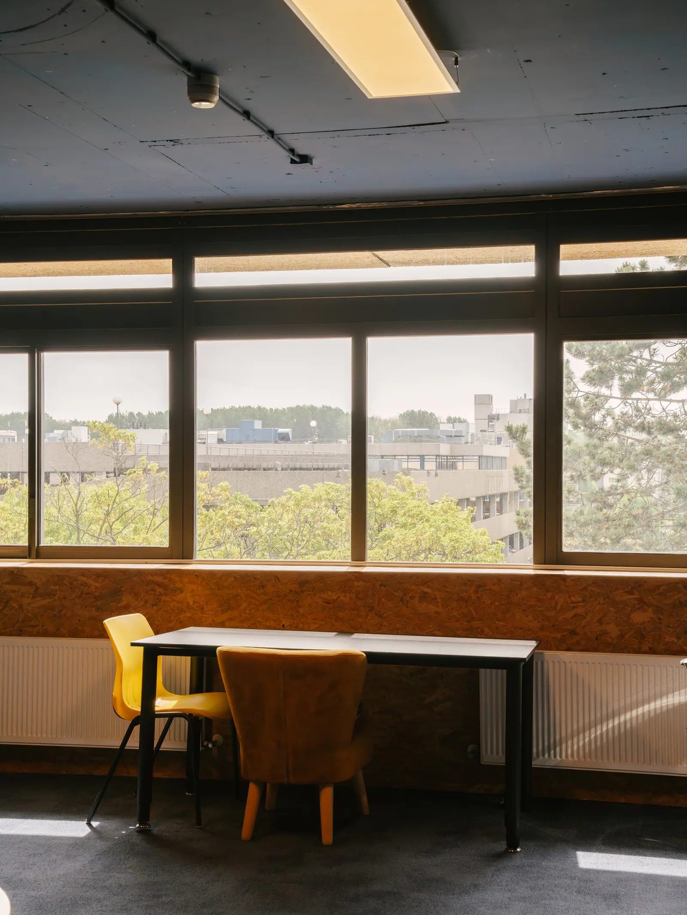 A study room at YOUNG Campus, desk and windows onto the trees