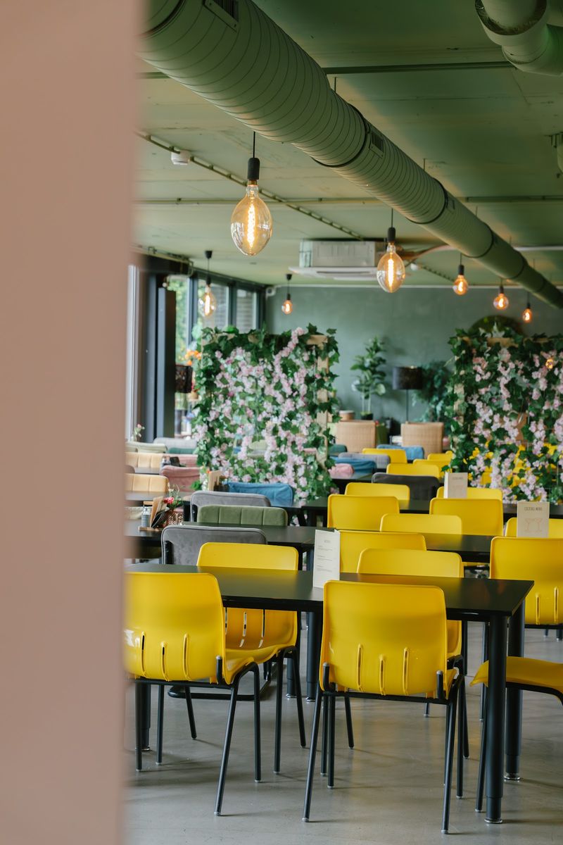 A YOUNG space with yellow chairs and a wall of plants